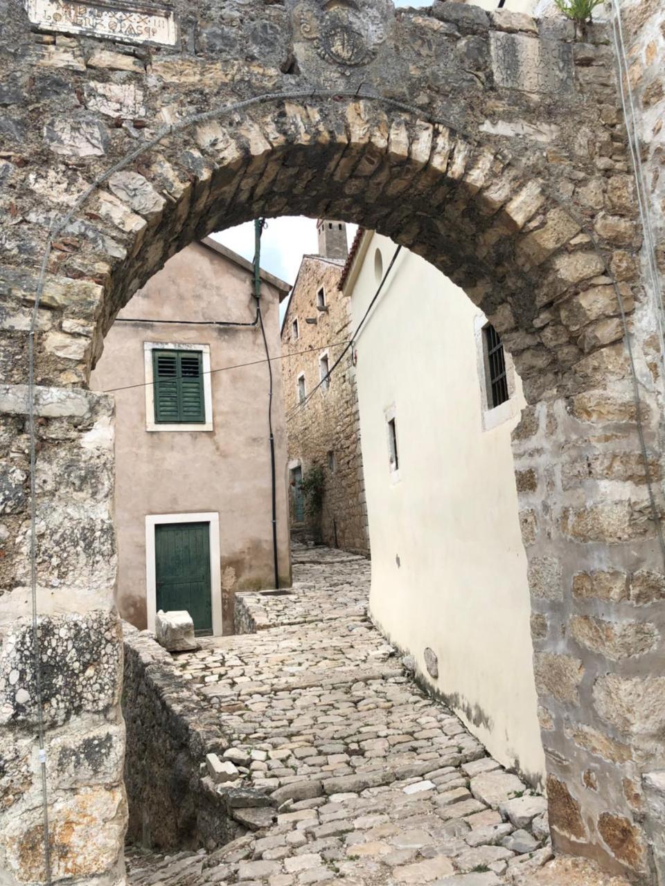 Apartment Novigrad Holiday Exterior photo